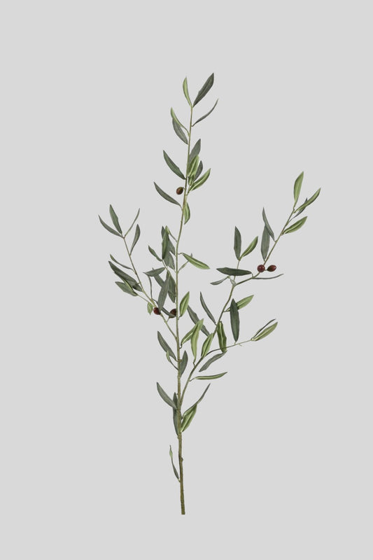 Kunst Olijftak - 129 cm